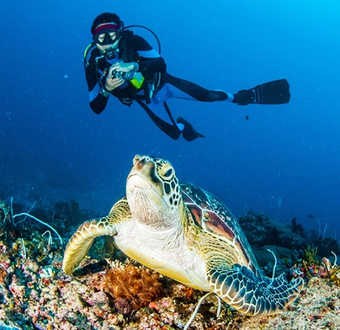 gallery-dive-in-malayisia